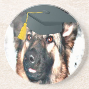 Coaster German Shepherd Grad