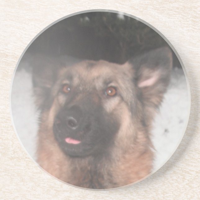 Coaster German Shepherd Sticking Tongue Out (Front)