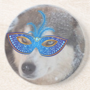 Coaster Husky Blue Eyes Blue Mardi Gras Mask