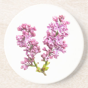 Coaster - Lilac Blossoms