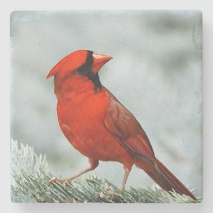 _coaster network bird stone coaster