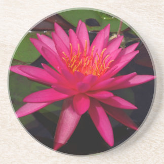 Coaster - pink water lily