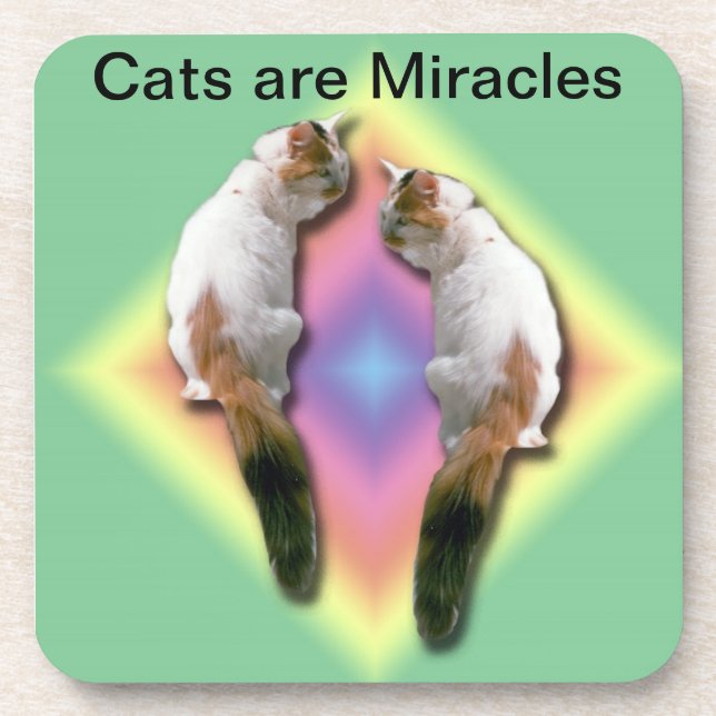 Coaster Set - Cats are Miracles (Front)