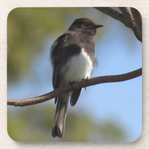 Coaster set - Flycatcher Close-up