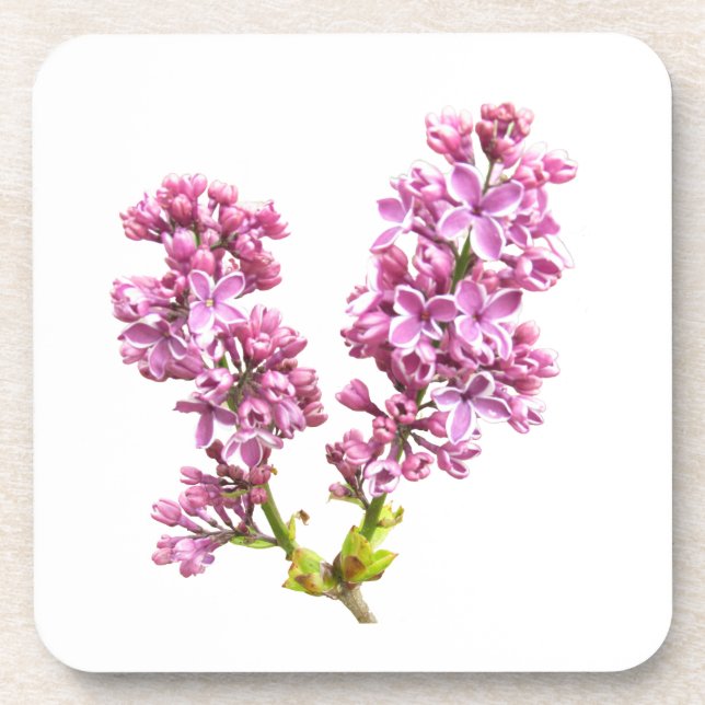 Coaster set - Lilac blossoms (Front)