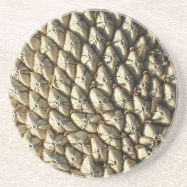 Coaster - Sunflower seeds (Front)