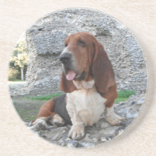 Coaster With Basset Hound Castle Ruin Visit