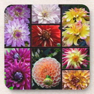 Coaster with beautiful multicoloured dahlias