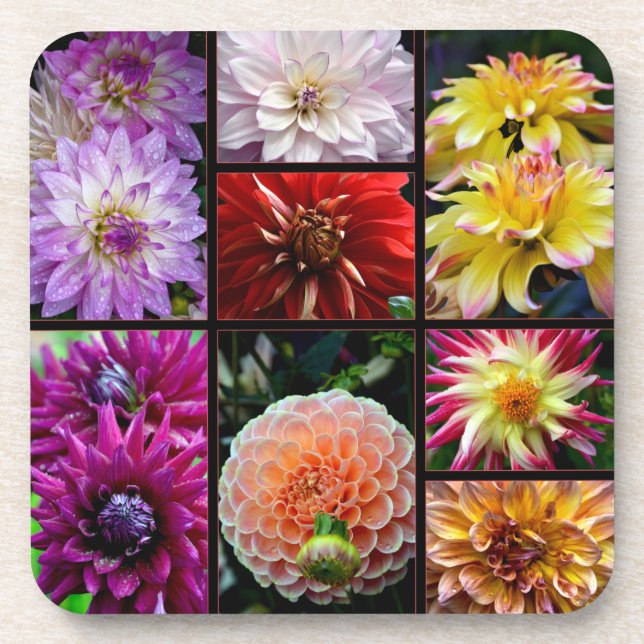 Coaster with beautiful multicoloured dahlias (Front)