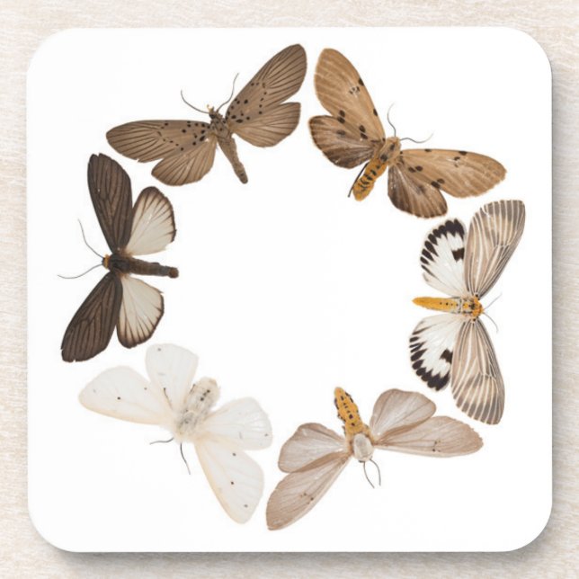 Coaster with butterfly ring (Front)