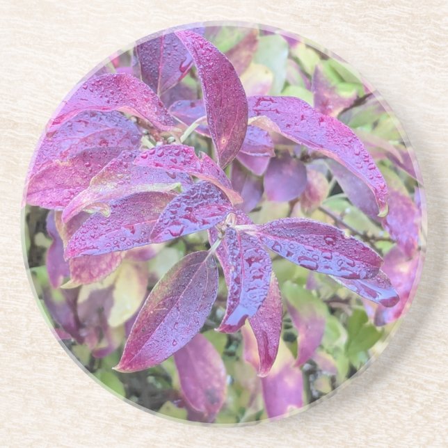 Coaster with leaves (Front)