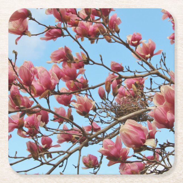 coaster with tree of pink blossom, bird's nest (Front)