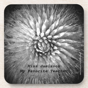 Coasters Set of 6 Agave Spikes Black and White B&W