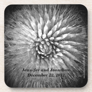 Coasters Set of 6 Agave Spikes Personalised B&W