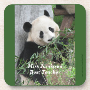 Coasters, Set of 6, Panda, Best Teacher, Green Coaster