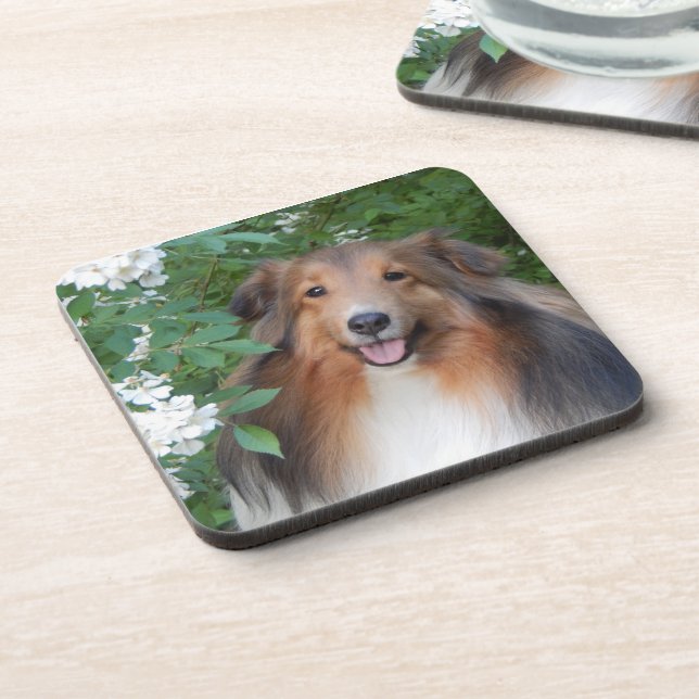 Coasters - set of 6 - with Sheltie (Left Side)