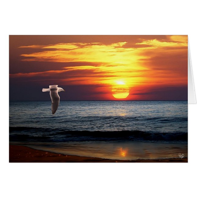 Coasting (Front Horizontal)