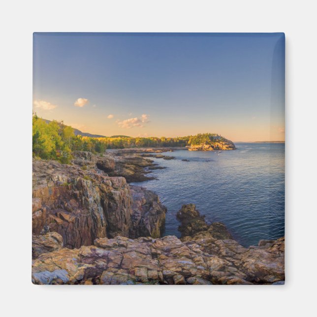 Coastline | Acadia National Park, Schooner Head Magnet (Front)