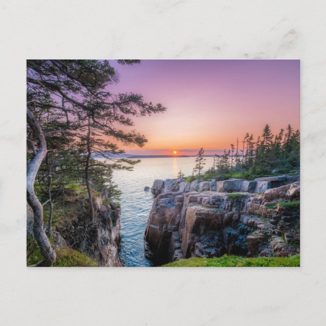 Coastline | Ravens Nest Acadia National Park Maine Postcard (Front)
