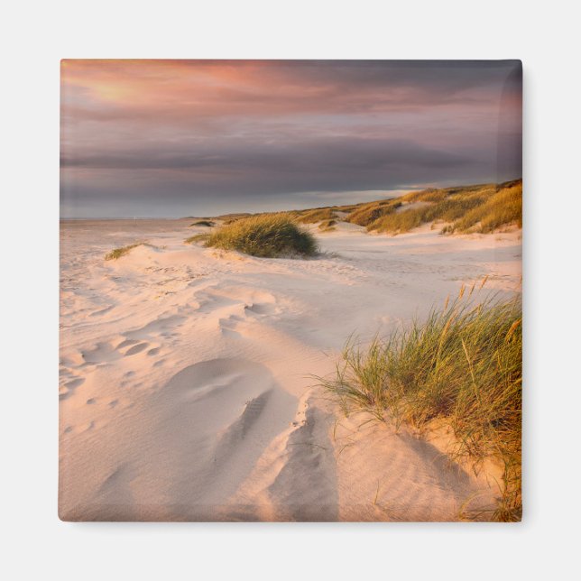 Coastline | Saltum Beach, Denmark Magnet (Front)