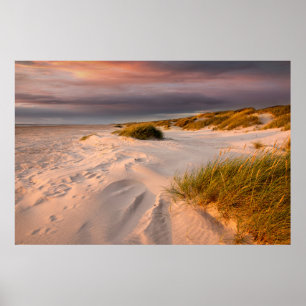 Coastline Saltum Beach, Denmark Poster