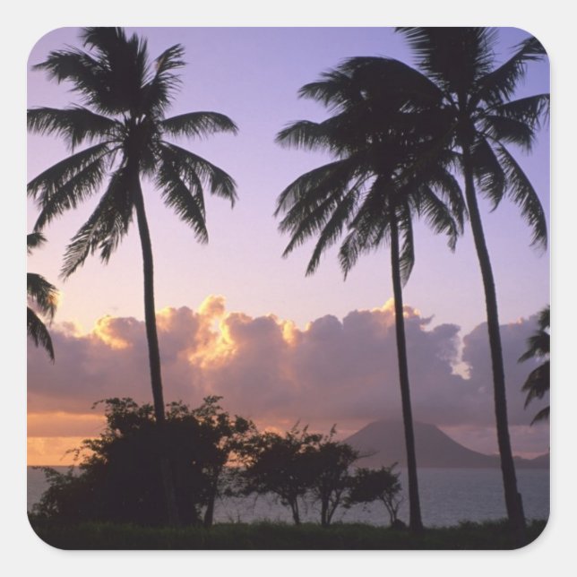 Coastline St. Kitts Square Sticker (Front)
