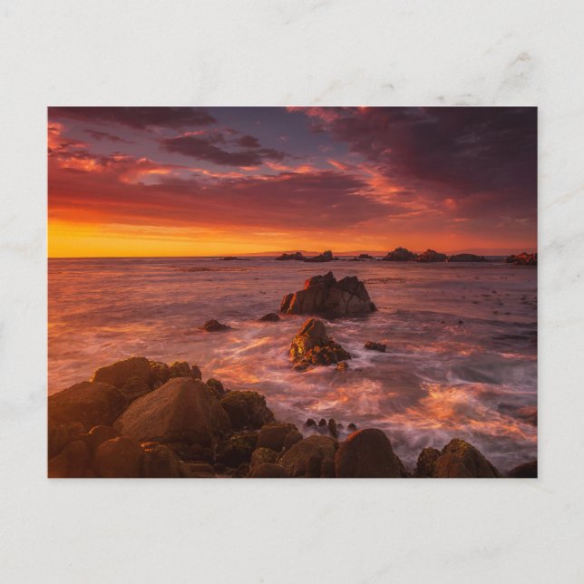 Coastline | Sunset Pacific Grove Carmel California Postcard (Front)