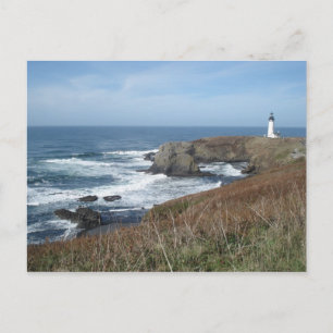 Coastline View Postcard