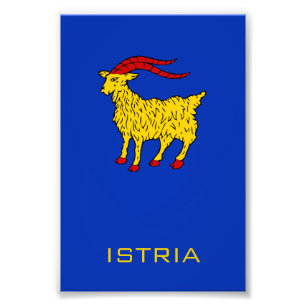 Coat of Arms of Istria Adriatic Legacy Photo Print