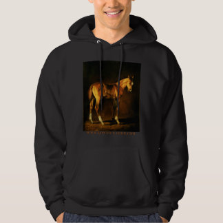 Coat of Many Colours Hoodie