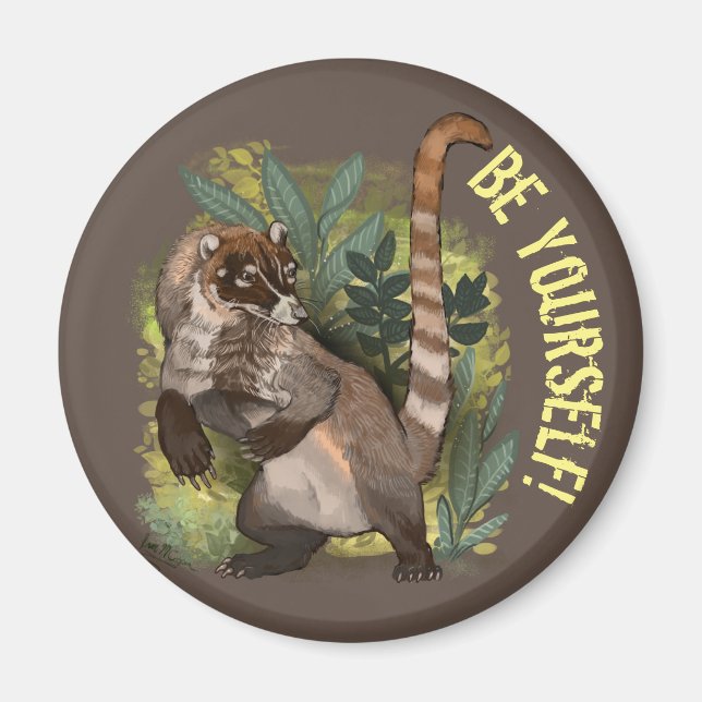 Coatamundi or White Nosed Coati Magnet (Front)