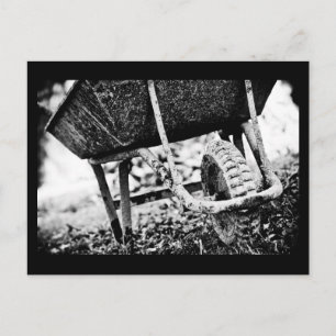 coated carrier postcard