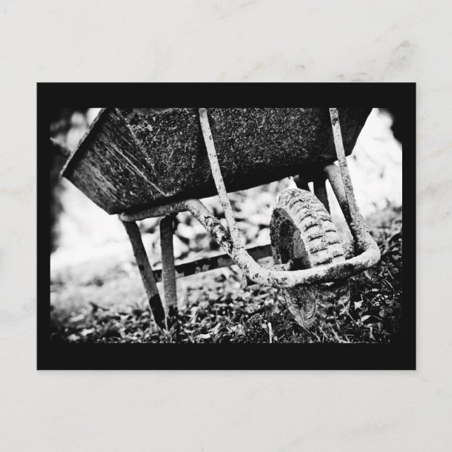 coated carrier postcard (Front)