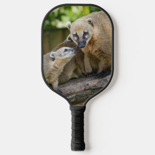 Coati Pup Shares a Tender Moment with Mum Pickleball Paddle
