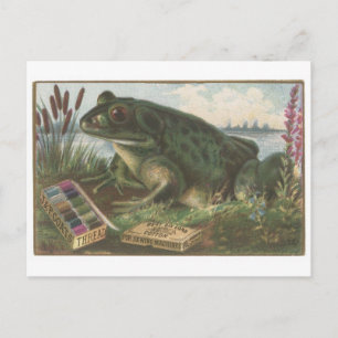 Coats Thread Frog Trading Card