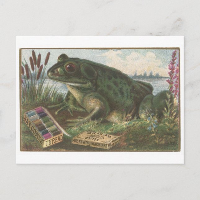 Coats Thread Frog Trading Card (Front)