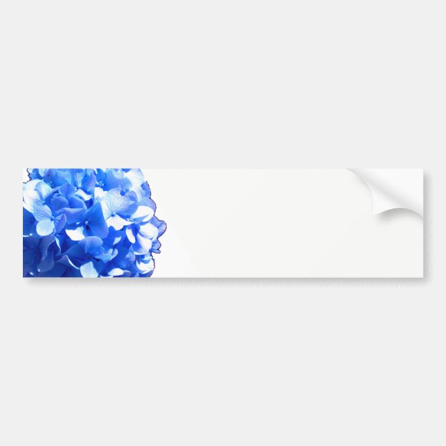 Cobalt blue floral elegant blue hydrangeas  bumper sticker (Front)