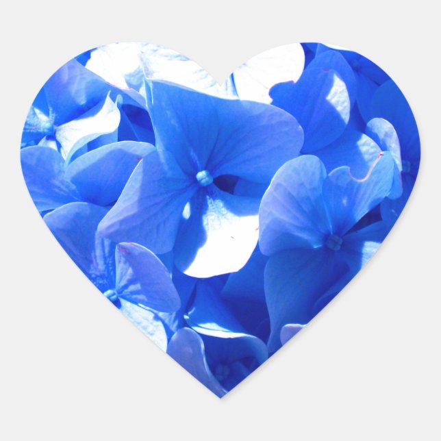 Cobalt blue floral elegant blue hydrangeas  heart sticker (Front)