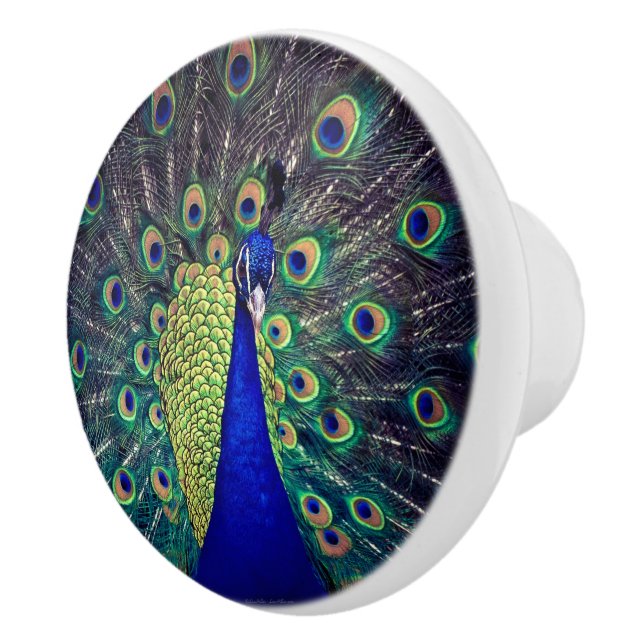 Cobalt Blue Peacock Ceramic Knob (Right)