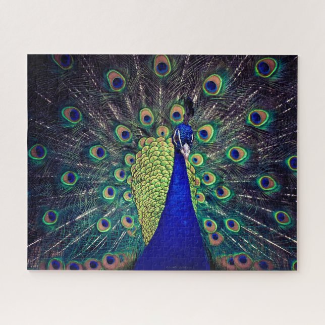Cobalt Blue Peacock Jigsaw Puzzle (Horizontal)