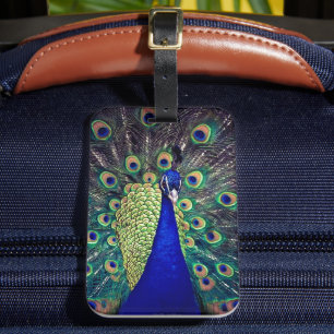 Cobalt Blue Peacock Luggage Tag
