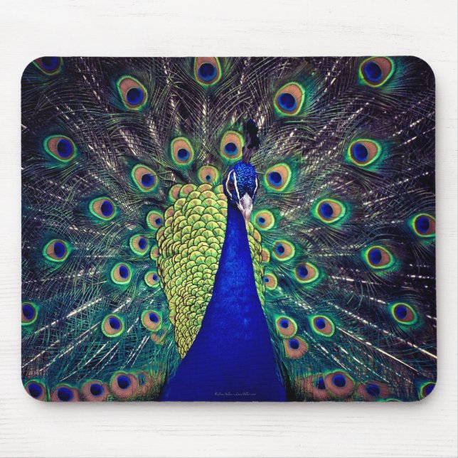 Cobalt Blue Peacock Mouse Pad (Front)