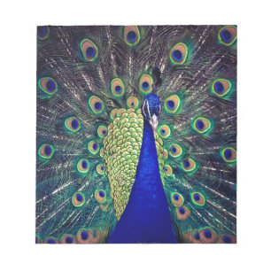 Cobalt Blue Peacock Notepad