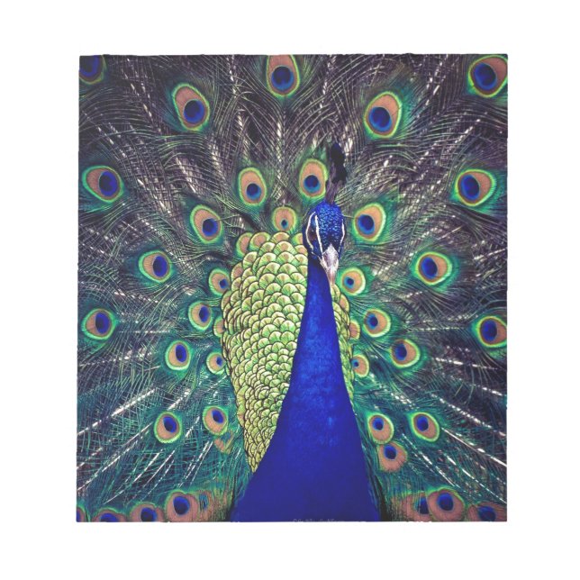 Cobalt Blue Peacock Notepad (Front)
