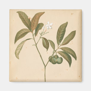 Cobalt Deco Panel I Magnet