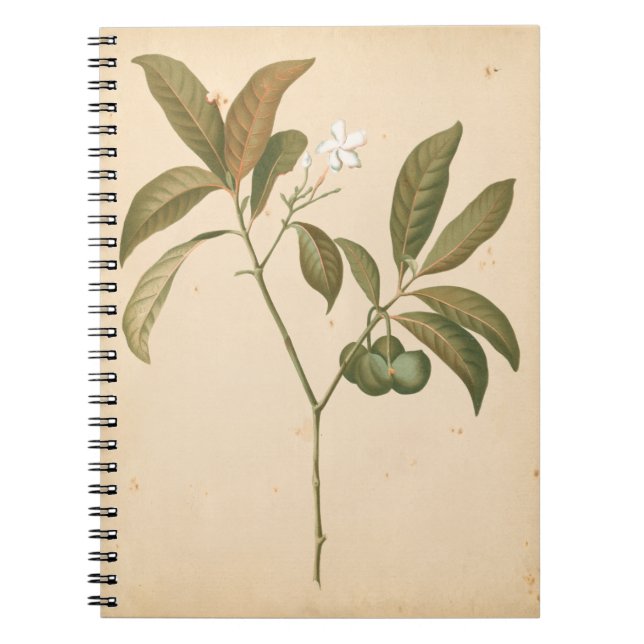 Cobalt Deco Panel I Notebook (Front)