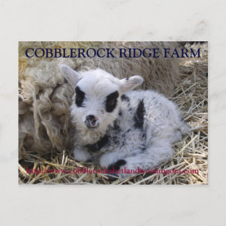 COBBLEROCK RIDGE FARM POST CARD