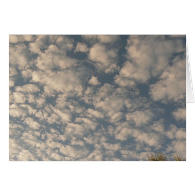 Cobblestone Clouds (Front Horizontal)
