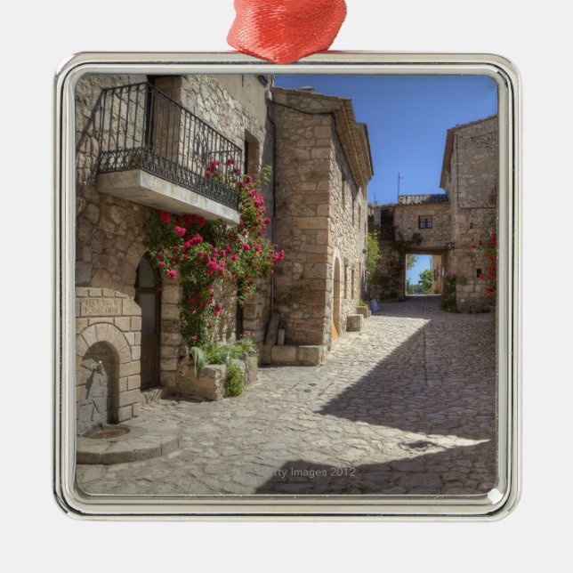 Cobblestone street, stone buildings, historic metal tree decoration (Front)