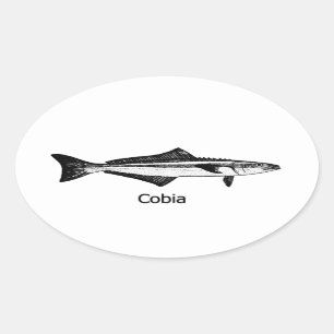 Cobia Fish Oval Sticker